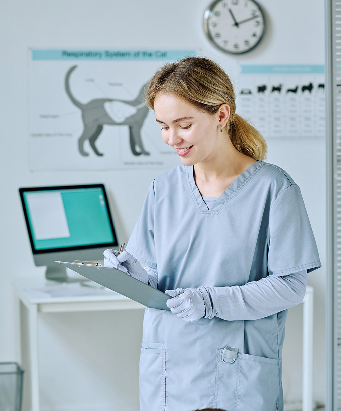 Veterinary IT support services