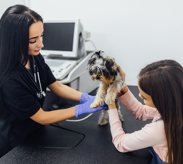 Veterinary IT Support Douglasville