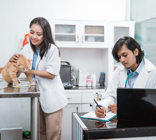 Veterinary IT Support Hinesville