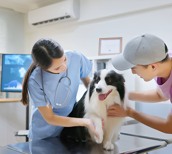 Veterinary IT Support Pooler