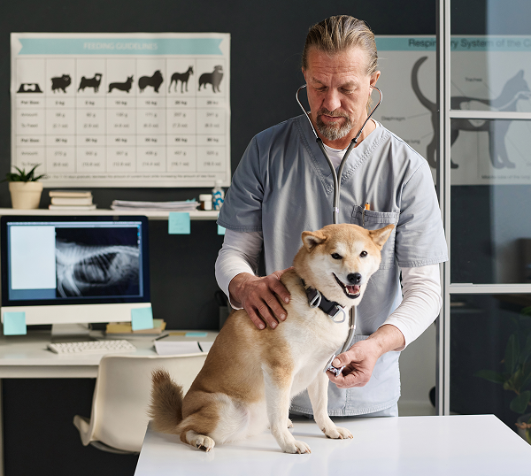 Veterinary IT Support Savannah