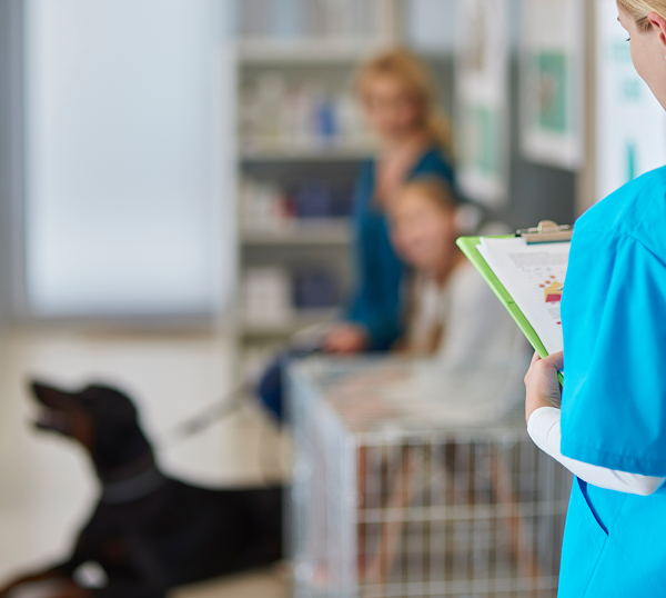 Veterinary IT Support Tucker