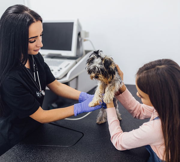 Veterinary-IT-Support-Douglasville-600×538 Dental IT Support in Marietta