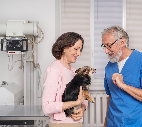 Veterinary-IT-Support-Richmond-Hill-1-300×269 Dental IT Support in Marietta