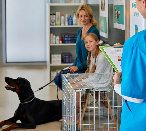 veterinary-it-support-Tucker Dental IT Support in Marietta