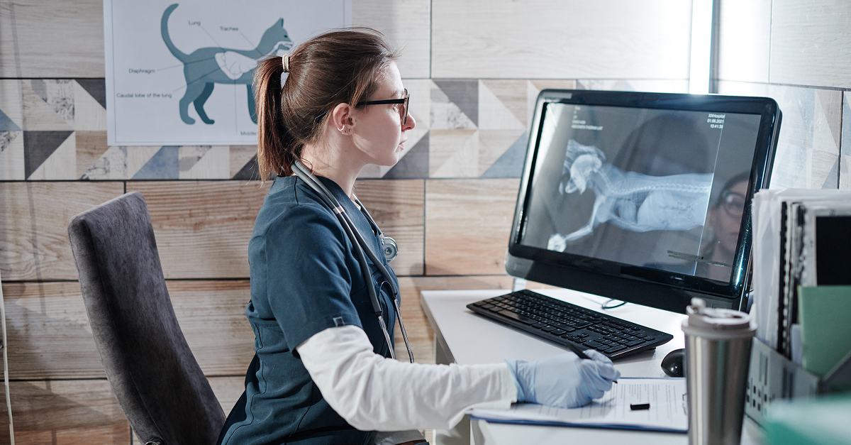 Cornerstone vs. AVImark What It Means for Your Veterinary IT Setup