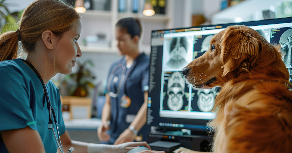 Why Veterinary Imaging Systems Need the Same IT Protection as Your Front Desk